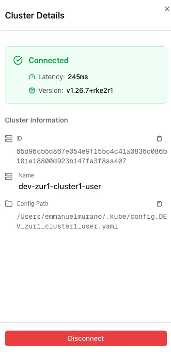 Cluster details sidebar with connection information